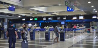 Ιταλία: Αυγό δεινοσαύρου βρήκαν οι τελωνειακοί στο αεροδρόμιο