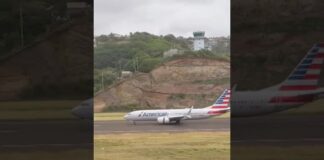 Αεροπλάνο «πέφτει» σε κοπάδι με πουλιά στην απογείωση