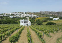 Το Travel+Leisure παρουσιάζει την οινοποιητική πλευρά της Τήνου