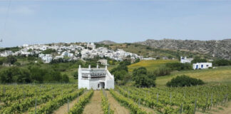 Το Travel+Leisure παρουσιάζει την οινοποιητική πλευρά της Τήνου