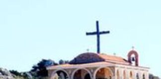 To πρώτο υποθαλάσσιο δάσος και Μουσείο του κόσμου στην Αγία Νάπα