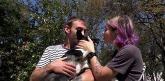 Σκυλίτσα χάθηκε στο αεροδρόμιο και επέστρεψε στους ιδιοκτήτες της