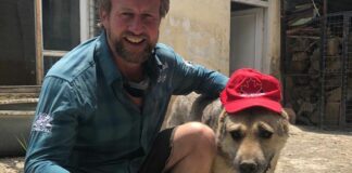 Μετέφερε με αεροπλάνο 173 σκύλους και γάτες από το Αφγανιστάν