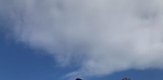 Η εθελοντική ομάδα εργαζομένων της AEGEAN ταξίδεψε με το Ίδρυμα Βασίλη & Ελίζας Γουλανδρή, για να μοιράσει δώρα σε παιδιά