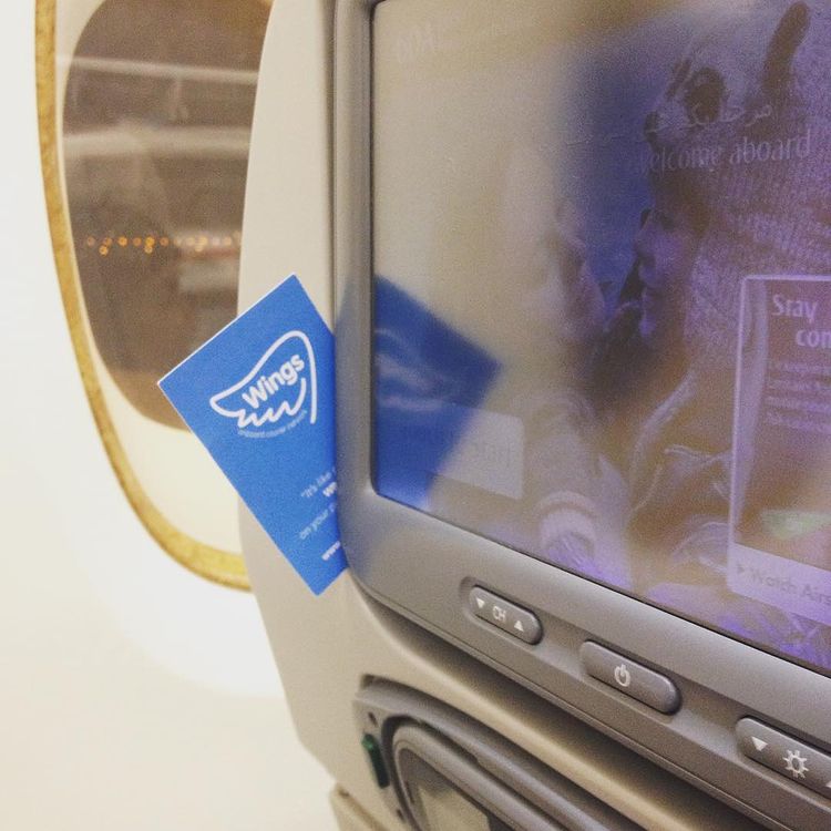 Wings-on-board_seat