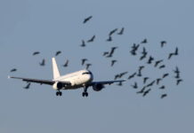 Αλεξανδρούπολη: Αεροπλάνο χτύπησε σμήνος πουλιών