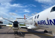 Μεγάλο πουλί επιτίθεται σε αεροσκάφος και τρύπησε την άτρακτο