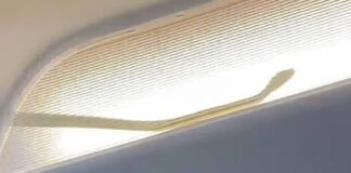 Φίδι προκάλεσε αναγκαστική προσγείωση αεροπλάνου στη Μαλαισία