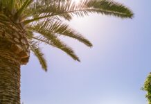 Η απόλυτη καλοκαιρινή εμπειρία στο Divani Apollon Palace & Thalasso