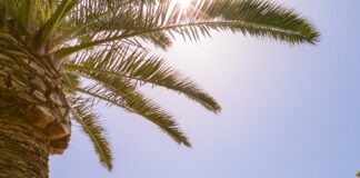 Η απόλυτη καλοκαιρινή εμπειρία στο Divani Apollon Palace & Thalasso