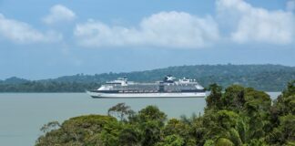 H Celebrity Cruises γιορτάζει την επιστροφή όλου του στόλου της