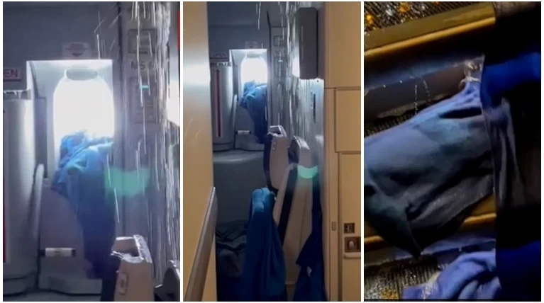 f113e4d7a8604def952cf2056628d033