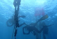 Στην Αλόννησο χρησιμοποίησαν υποβρύχιο ρομπότ και καθάρισαν τον βυθό