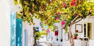 Πάρος: Ο προορισμός για το 2025 από την American Express Travel
