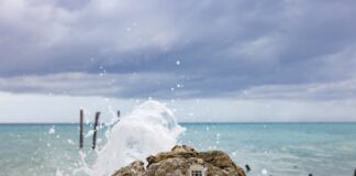 H 103η μινιατούρα Delftware της KLM βρίσκεται στην Αρούμπα