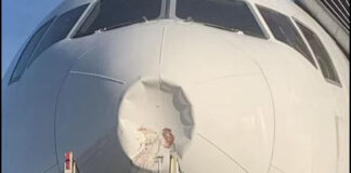 Το αεροπλάνο της Καμίλα συγκρούστηκε με πουλί