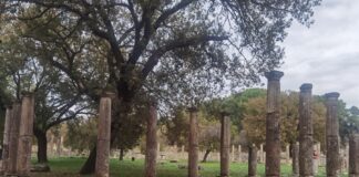 Προβολή της Αρχαίας Ολυμπίας σε ταξιδιώτες 50+