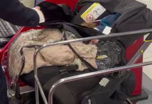 Αφησαν το μωρό τους στο αεροδρόμιο γιατί δεν είχε εισιτήριο