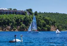 Skiathos Palace Cup: Μοναδική ιστιοπλοϊκή εμπειρία με 5αστερη φιλοξενία
