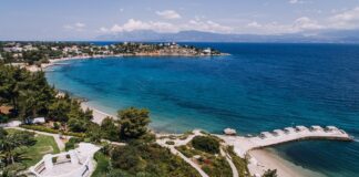 Brown Hotels: Μία ιστορία καινοτομίας στο marketing hospitality γίνεται Global Case study