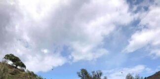 Ενέργειες για τη διαφύλαξη της πολιτιστικής ταυτότητας της Τήνου