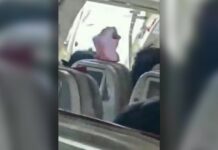 Πόρτα αεροπλάνου της Asiana Airlines άνοιξε κατά τη διάρκεια της πτήσης