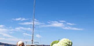 Το ακραίο κύμα καύσωνα ωθεί τους τουρίστες στις χώρες του Βορρά