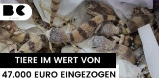 Πήγε στο αεροδρόμιο με… 90 ερπετά στη βαλίτσα