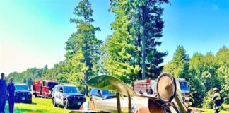 Αεροπλάνο του Α Παγκοσμίου Πολέμου «τούμπαρε» σε εκδήλωση μουσείου