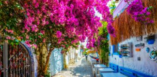 Η Σμύρνη και το Μπόντρουμ προστίθενται στον τουρκικό χάρτη του Οδηγού MICHELIN