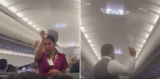 Volaris: Σμήνος κουνουπιών εισέβαλε μέσα σε αεροπλάνο