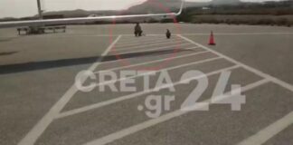 Γύπας σταμάτησε στο αεροδρόμιο του Ηρακλείου για να ξεκουραστεί