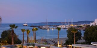 Το Avant Mar στην Πάρο εγκαινιάζει τη σεζόν με νέα projects και διεθνείς αφίξεις