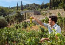 Το νέο σπίτι του Metaxa στη Σάμο ανοίγει τις πόρτες του