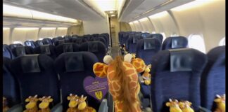 Αεροπλάνο πέταξε με 500 λούτρινες καμηλοπαρδάλεις για καλό σκοπό