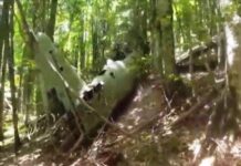 Δράμα: Βρέθηκε μαχητικό αεροσκάφος 77 χρόνια μετά την πτώση του στο δάσος Φρακτού