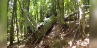 Δράμα: Βρέθηκε μαχητικό αεροσκάφος 77 χρόνια μετά την πτώση του στο δάσος Φρακτού