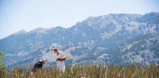 Κως:Η Marketing Greece και τα Ikos Resorts αναδεικνύουν την αναζωογονητική πλευρά του νησιού