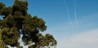 The Great Sunday Pool Club: Η θρυλική βραδιά στο Avra επιστρέφει