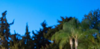 Τοπικά προϊόντα της Ρόδου σε μοναδικές γεύσεις από τον σεφ Ανδρέα Λαγό στο Rodos Park