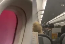 Pegasus Airlines: Αεροπλάνο υποχρεώθηκε σε αναγκαστική προσγείωση λόγω των αναταράξεων