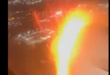 American Airlines: Πουλί έκανε ζημιά σε κινητήρα αεροπλάνου