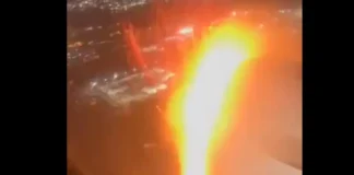 American Airlines: Πουλί έκανε ζημιά σε κινητήρα αεροπλάνου