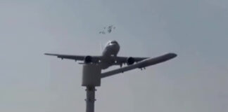 Αεροπλάνο της Air China κινδύνευσε από σμήνος πουλιών