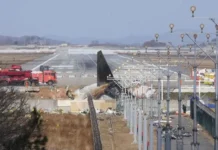 Νότια Κορέα: Βρέθηκε DNA πτηνών στους κινητήρες του αεροσκάφους που συνετρίβη