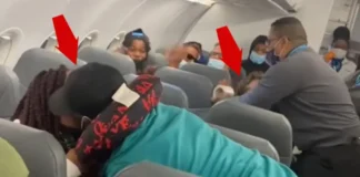 Μια πτήση-τρέλα: Ενας επιβάτης εκτός ορίων και άλλος επιβάτης έκανε… πρόταση γάμου