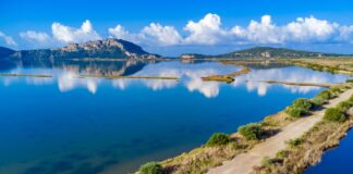Το Navarino Challenge επιστρέφει στις 9-11 Μαΐου