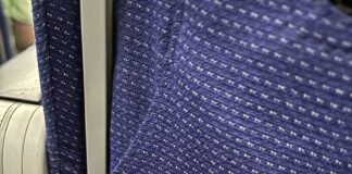 Σμήνος από κουνούπια σε πτήση της Indigo-Εξαλλοι οι επιβάτες