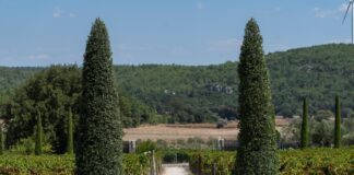 Μια απόδραση στα Βουρλά της Σμύρνης για τον εορτασμό της Ημέρας της Μητέρας