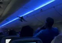 Delta: Περιστέρια μπήκαν σε αεροπλάνο και προκάλεσαν χάος